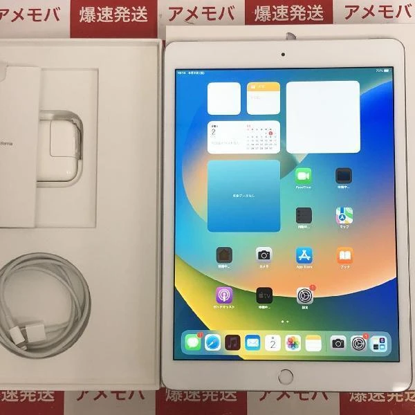 iPad 第7世代 docomo版SIMフリー 32GB MW6C2J/A A2198