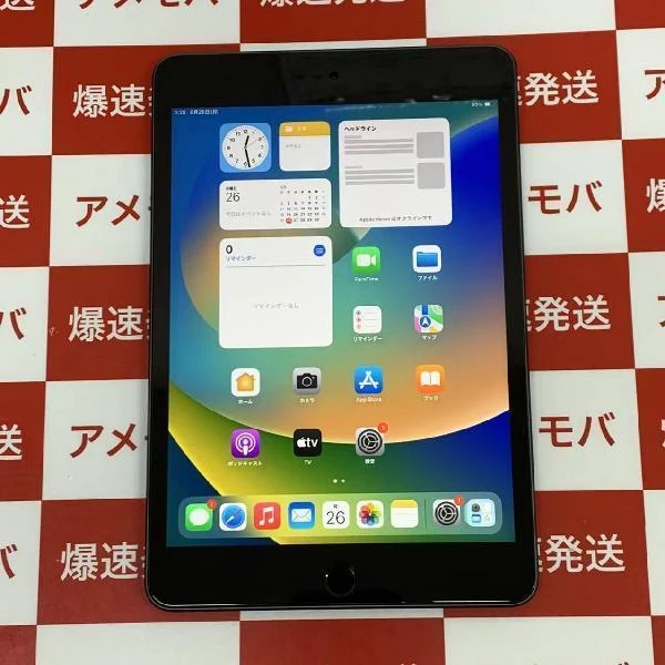 Wi-Fiモデル】iPad mini 第5世代/256GB/A2133〈MUU32J/A〉