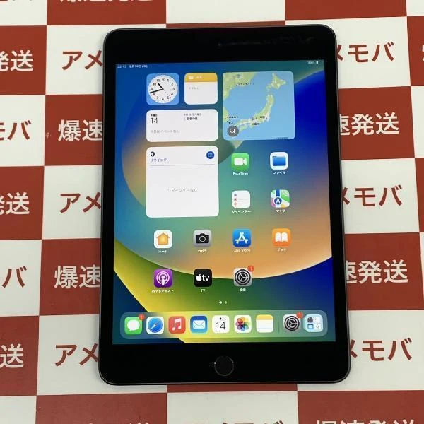 iPad mini 第5世代 Wi-Fiモデル 64GB MUQW2J/A A2133 極美品 スペースグレイ