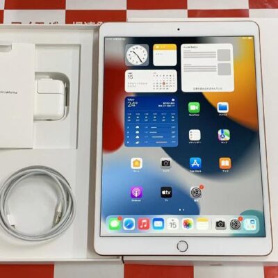 iPad Air 第3世代 Wi-Fiモデル 256GB MUUT2J/A A2152 極美品