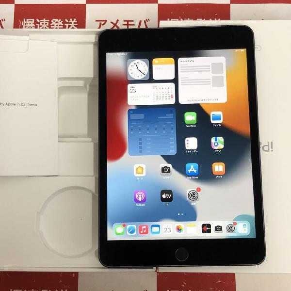 iPad mini 第5世代 Apple版SIMフリー 256GB FUXC2J/A A2124 極美品