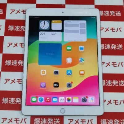 iPad 第7世代 docomo版SIMフリー 32GB MW6C2J/A A2198 美品