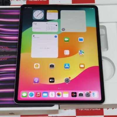 iPad Pro 12.9インチ 第6世代 Wi-Fiモデル 256GB MNXR3J/A A2436 極美品