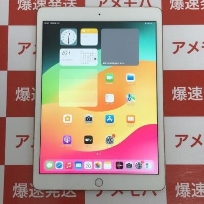 iPad 第7世代 SoftBank版SIMフリー 128GB NW6G2J/A A2198