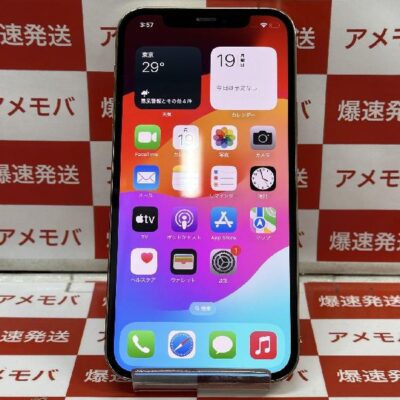 iPhone12 Pro docomo版SIMフリー 128GB NGM73J/A A2406 極美品