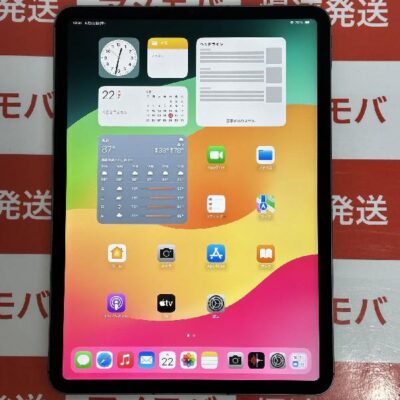 iPad Pro 11インチ 第3世代 Apple版SIMフリー 512GB MHW93J/A A2459 極美品