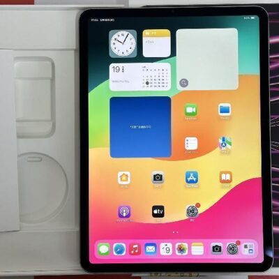 iPad Pro 11インチ 第4世代 Wi-Fiモデル 256GB MNXF3J/A A2759 極美品