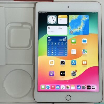 iPad mini 第5世代 docomo版SIMフリー 64GB MUX72J/A A2124 極美品