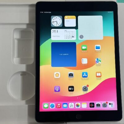 iPad 第9世代 au版SIMフリー 64GB MK473J/A A2604 極美品