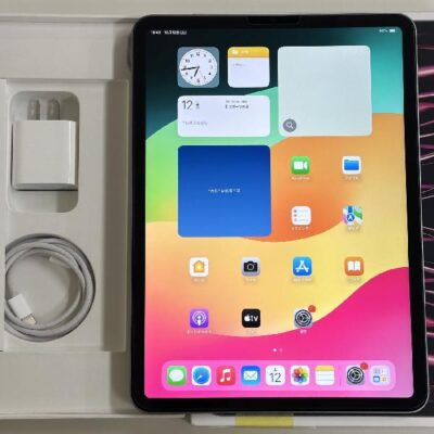 iPad Pro 11インチ 第4世代 Wi-Fiモデル 128GB MNXD3J/A A2759 美品