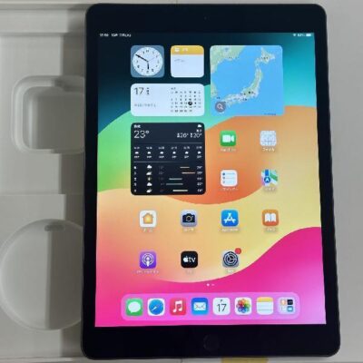 iPad 第7世代 Wi-Fiモデル 128GB MW772J/A A2197 美品