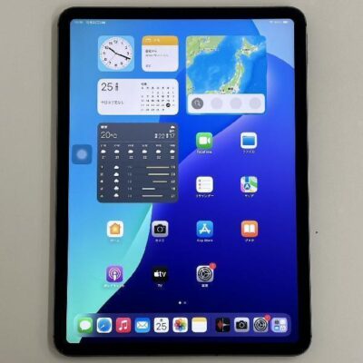 iPad Pro 11インチ 第3世代 Apple版SIMフリー 1TB MHWC3J/A A2459 極美品