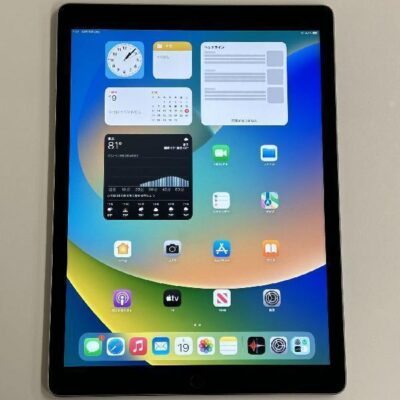 iPad Pro 12.9インチ 第1世代 Wi-Fiモデル 32GB ML0F2J/A A1584 美品