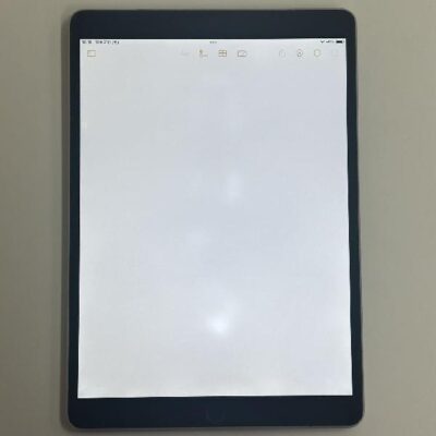 iPad Pro 10.5インチ SoftBank版SIMフリー 256GB MPHG2J/A A1709 訳あり品