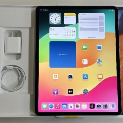 iPad Pro 12.9インチ 第4世代 Wi-Fiモデル 256GB MXAT2J/A A2229 美品