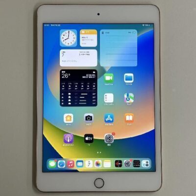 iPad mini 第5世代 docomo版SIMフリー 64GB MUX72J/A A2124 美品