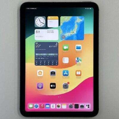 iPad mini 第6世代 docomo版SIMフリー 256GB MK8F3J/A A2568 訳あり品