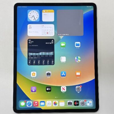 iPad Pro 12.9インチ 第4世代 Apple版SIMフリー 256GB MXF62J/A A2232