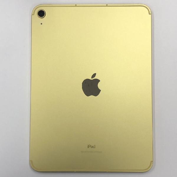 iPad 第10世代 docomo版SIMフリー 64GB MQ6L3J/A A2757 極美品-裏