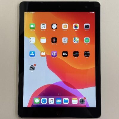 iPad 第6世代 au版SIMフリー 32GB MR6N2J/A A1954 極美品