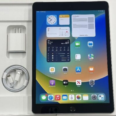 iPad 第9世代 au版SIMフリー 64GB MK493J/A A2604 美品