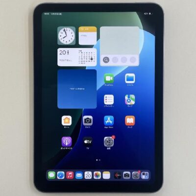 iPad mini 第6世代 Wi-Fiモデル 64GB MK7R3J/A A2567 極美品