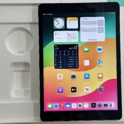 iPad 第9世代 docomo版SIMフリー 64GB MK493J/A A2604