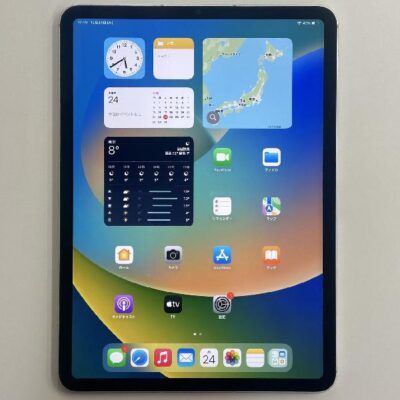 iPad Pro 11インチ 第3世代 海外版SIMフリー 128GB MHMU3LL/A A2301 ジャンク品