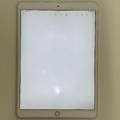 iPad Pro 10.5インチ Wi-Fiモデル 256GB MPF02J/A A1701 訳あり品