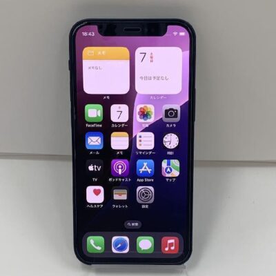 iPhone12 mini 海外版SIMフリー 64GB MGDX3KH/A A2399 極美品