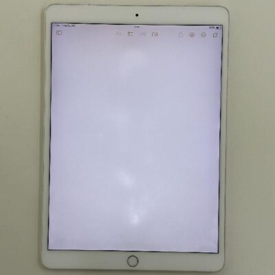 iPad Pro 10.5インチ SoftBank版SIMフリー 64GB MQF02J/A A1709 訳あり品