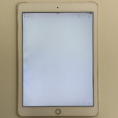 iPad Air 第2世代 docomo 64GB MH172J/A A1567 訳あり品